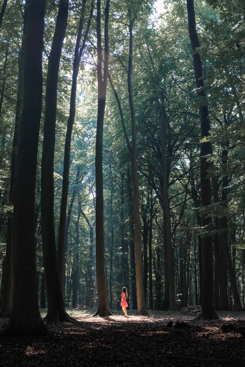 Frau steht auf einer Lichtung im Wald